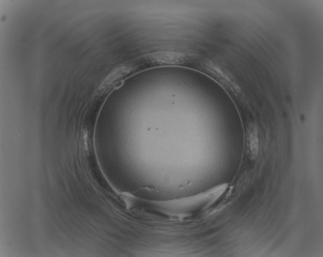 X0000066930117200603311402