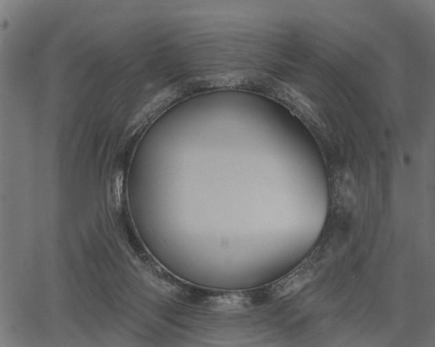 X0000066930118200603311402