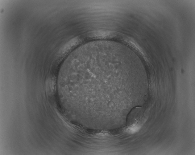 X0000066930119200603311402