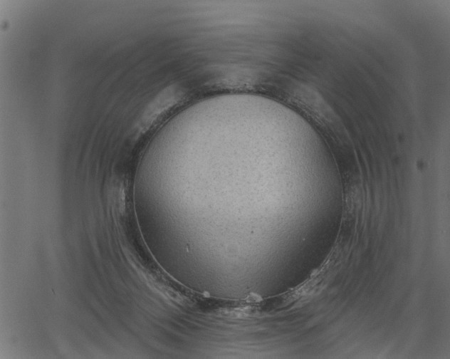 X0000066930120200603311402