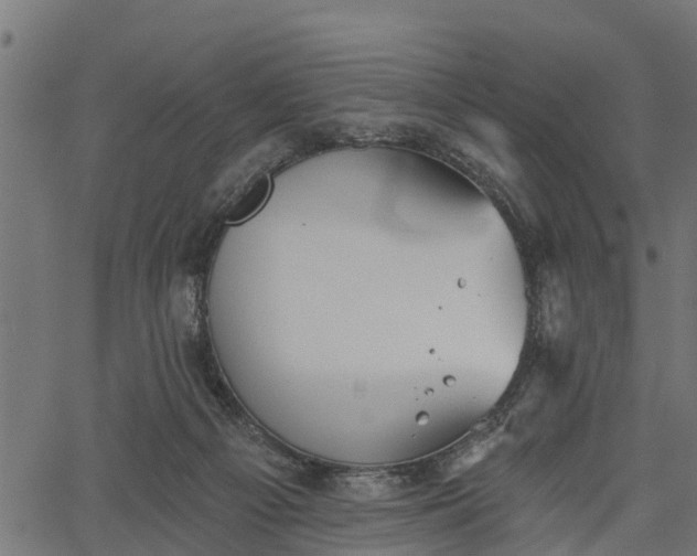 X0000066930121200603311402