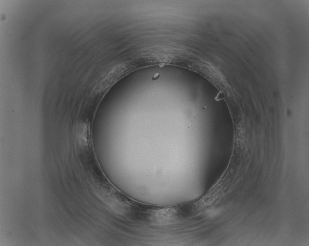 X0000066930122200603311402