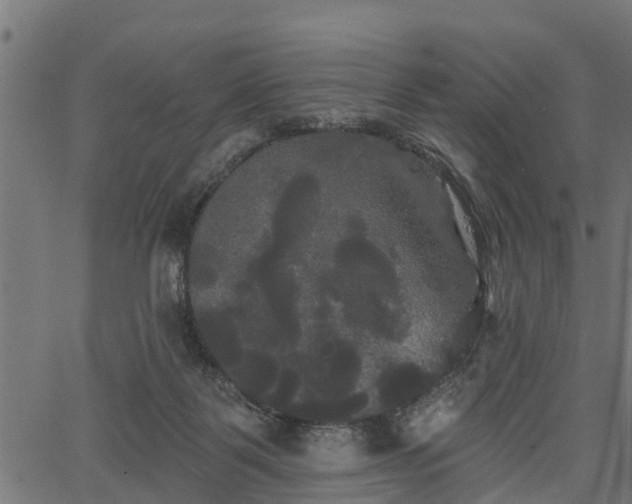 X0000066930123200603311402