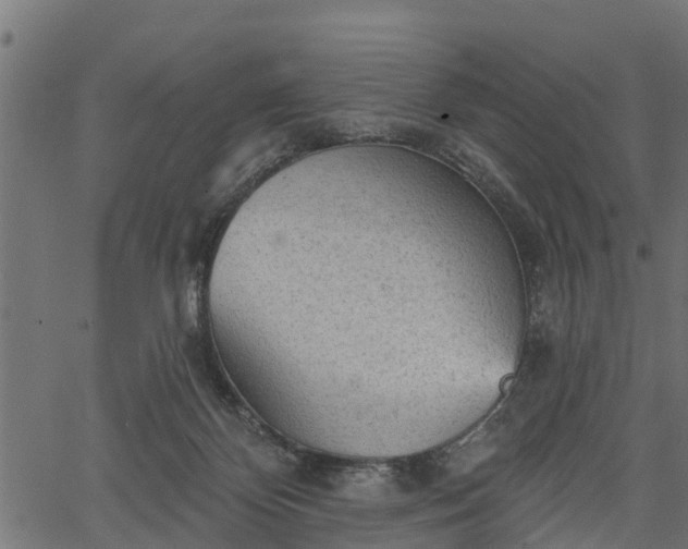 X0000066930124200603311402