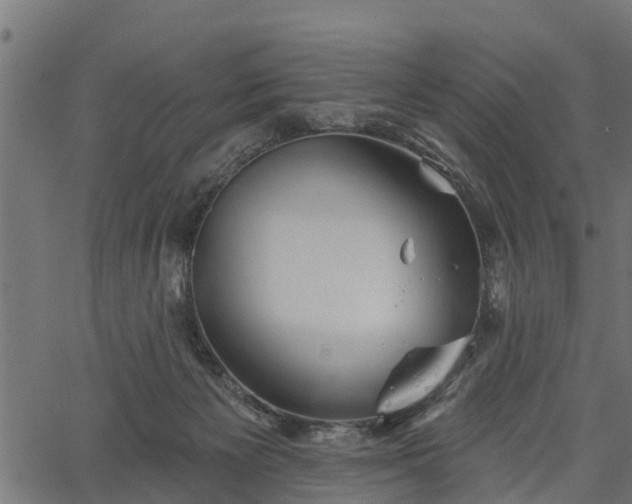 X0000066930125200603311401