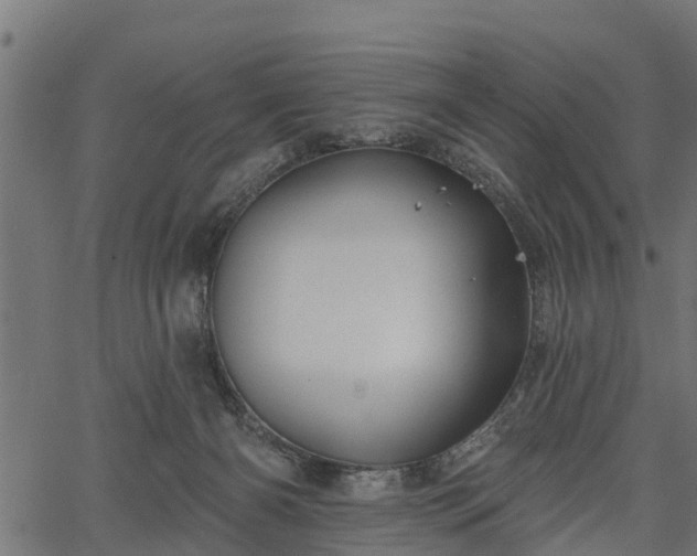 X0000066930126200603311401