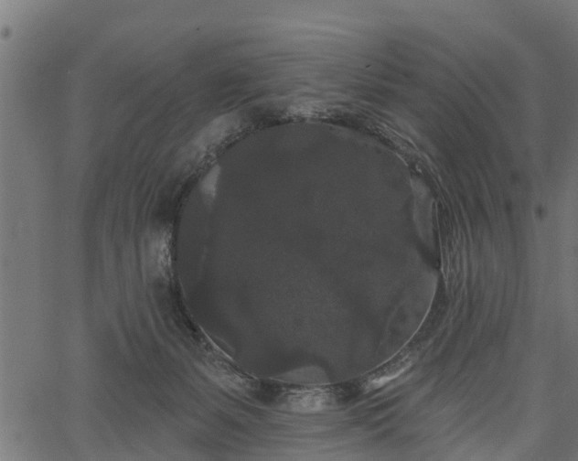 X0000066930127200603311401