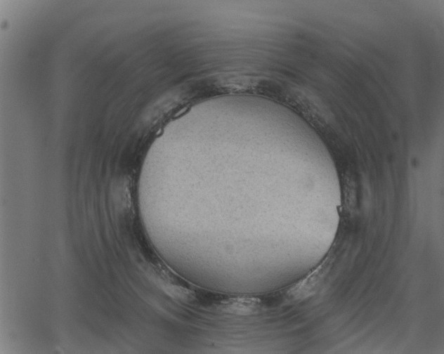 X0000066930128200603311401