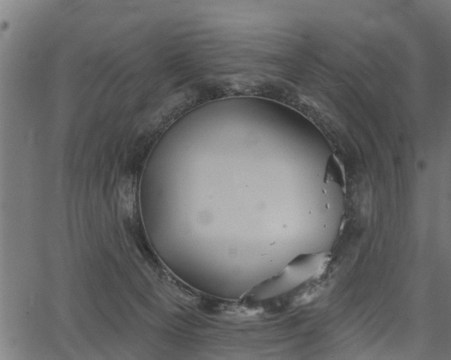 X0000066930129200603311401