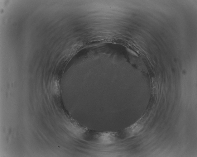 X0000066930130200603311401