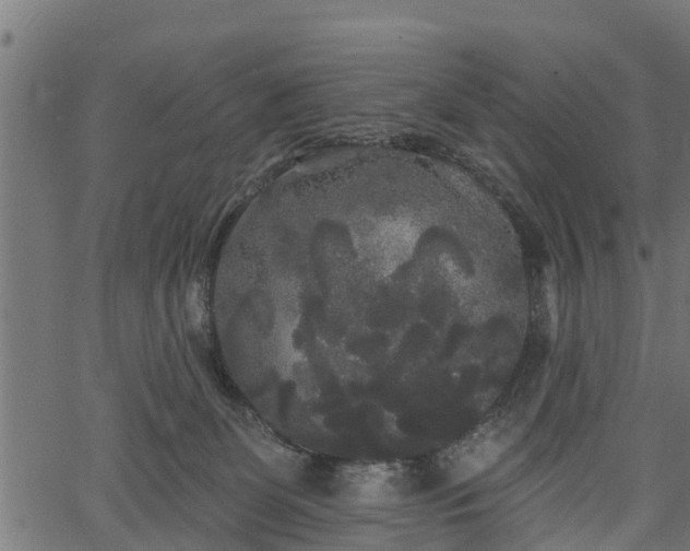 X0000066930131200603311401