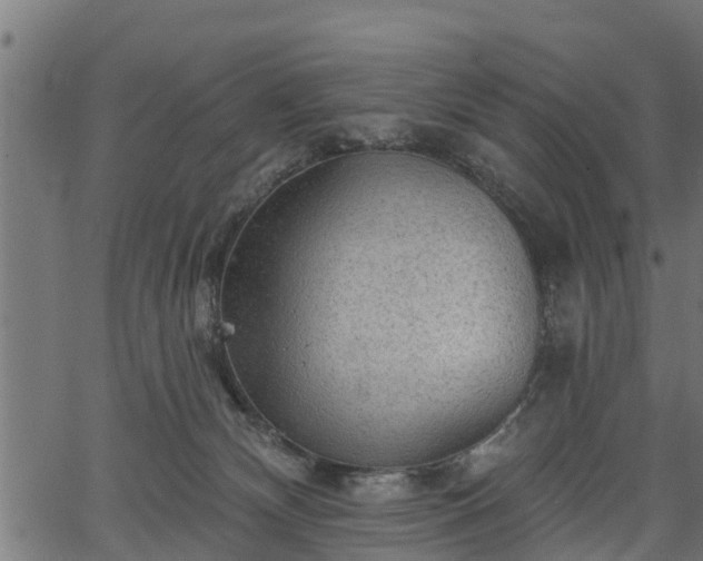 X0000066930132200603311401