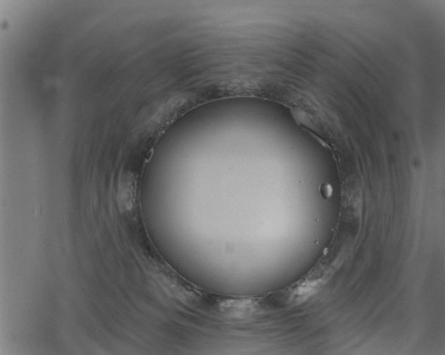 X0000066930133200603311401