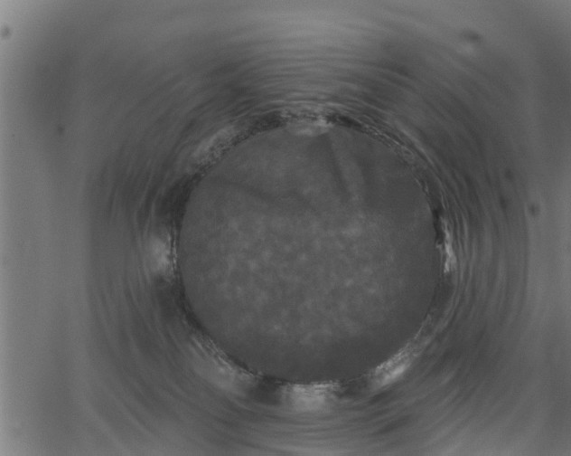 X0000066930134200603311401