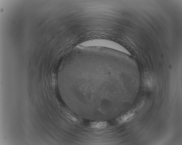 X0000066930135200603311401