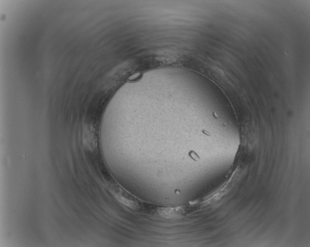 X0000066930136200603311401