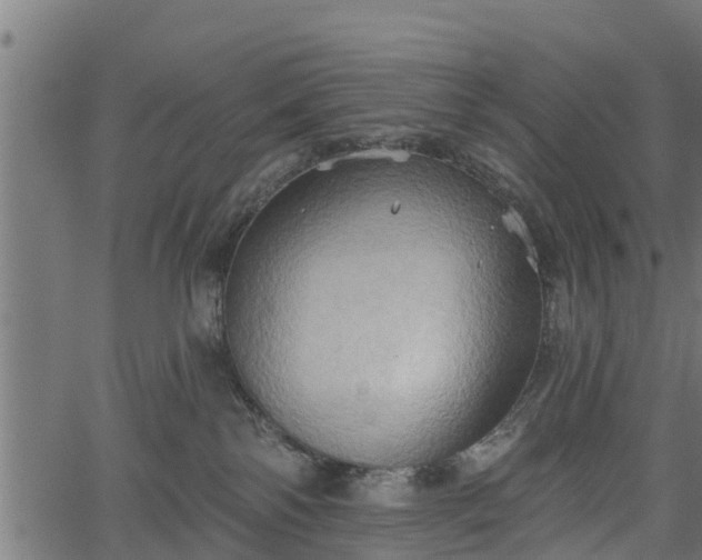 X0000066930138200603311401