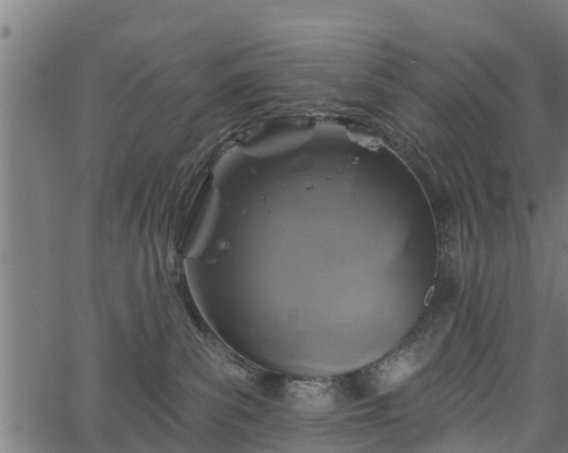 X0000066930139200603311401