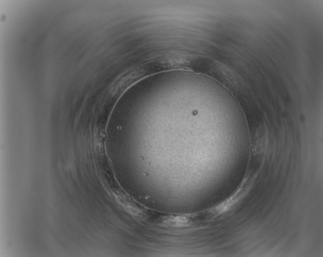 X0000066930140200603311401