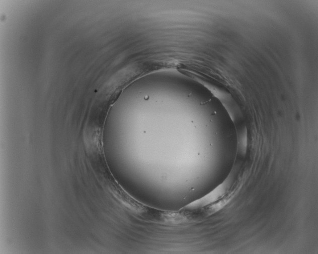 X0000066930141200603311401