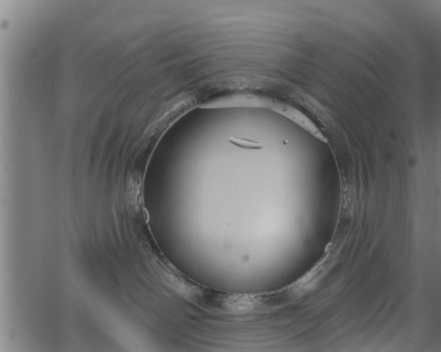 X0000066930142200603311401