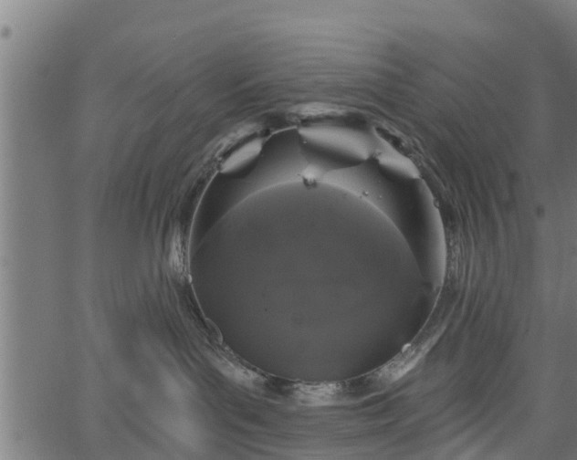 X0000066930143200603311401