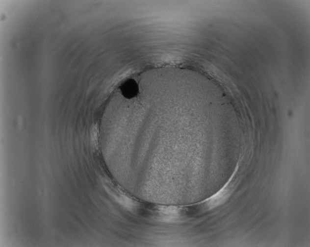 X0000066930144200603311401