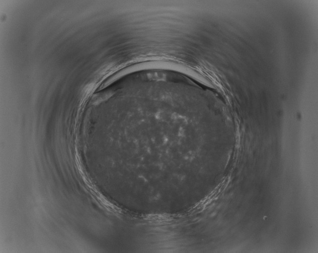 X0000066930145200603311400