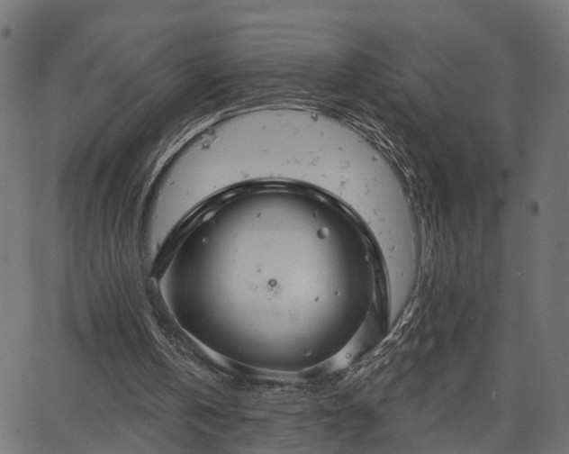 X0000066930146200603311400