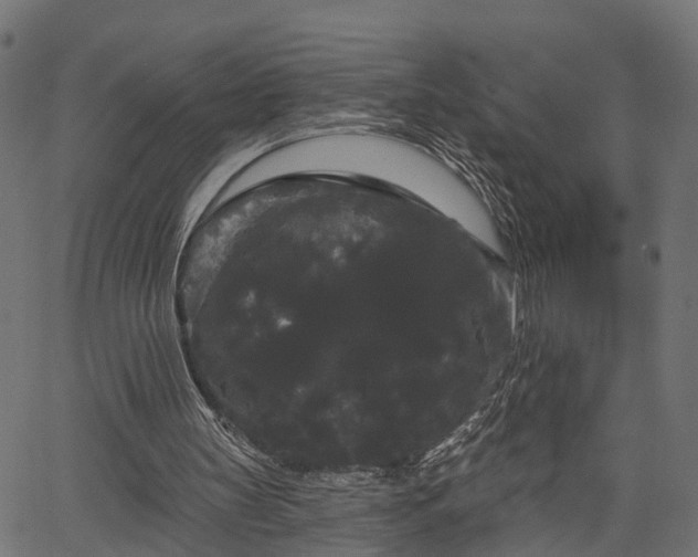 X0000066930147200603311400