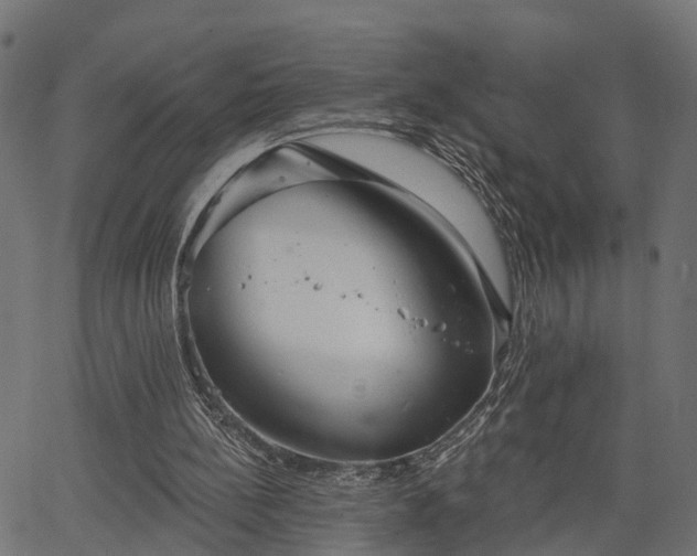 X0000066930148200603311400