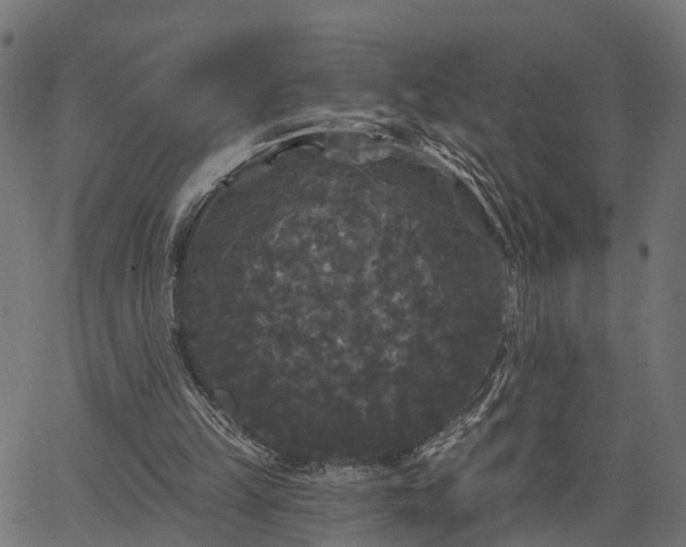 X0000066930149200603311400