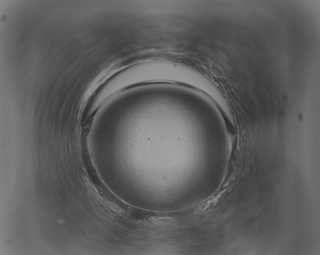 X0000066930150200603311400