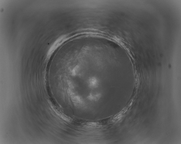 X0000066930151200603311400