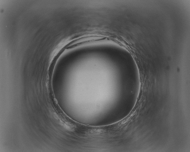 X0000066930152200603311401