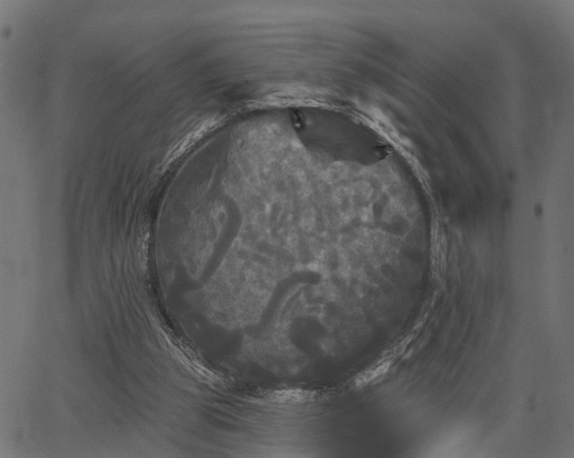 X0000066930153200603311401