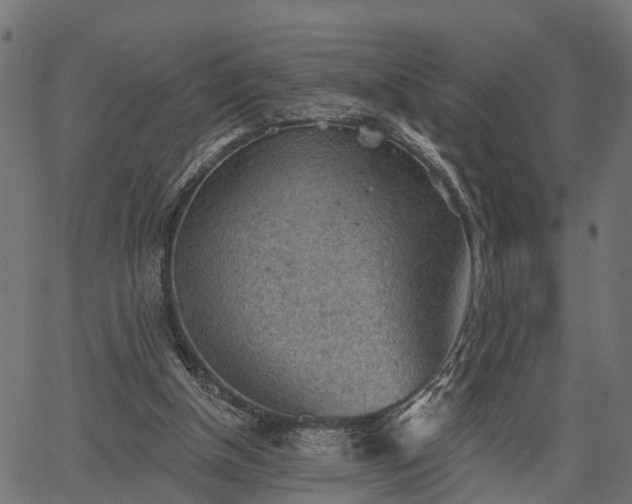 X0000066930154200603311401