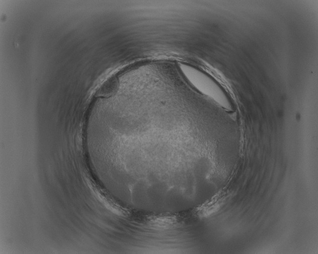 X0000066930155200603311401