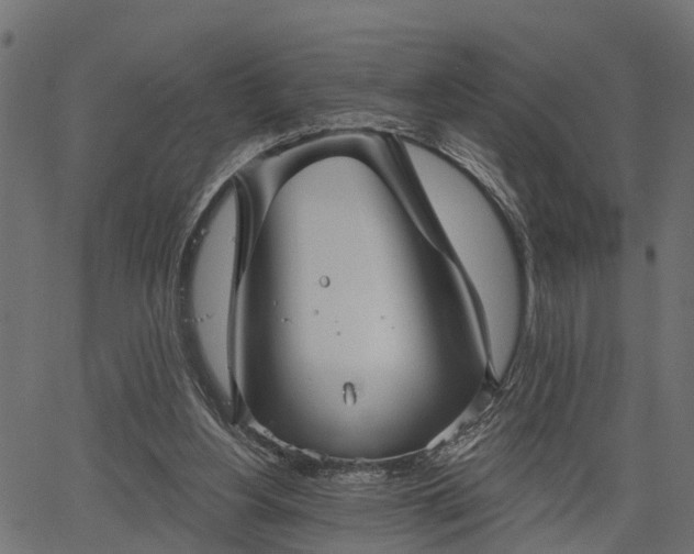 X0000066930156200603311401