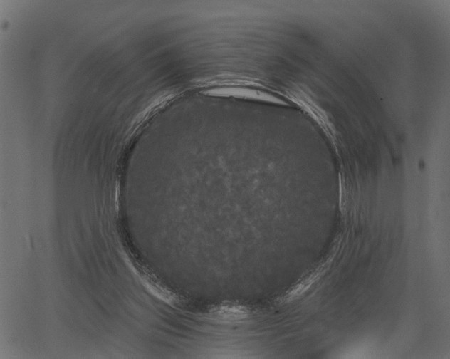 X0000066930157200603311401