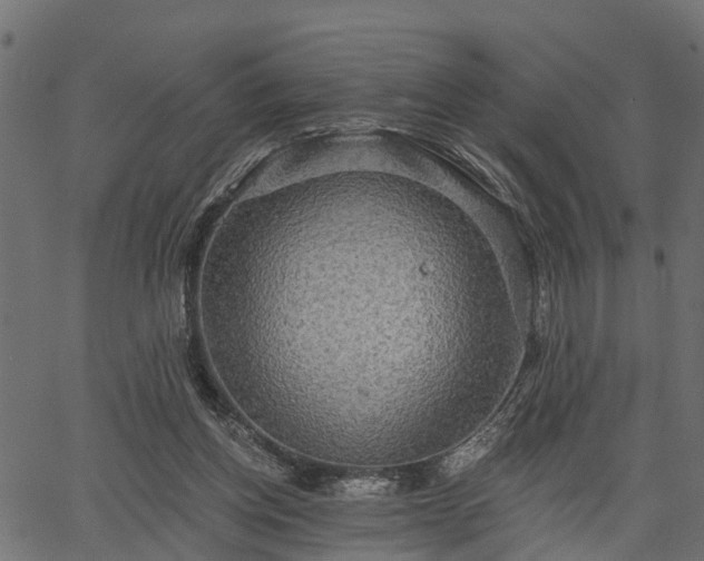 X0000066930158200603311401