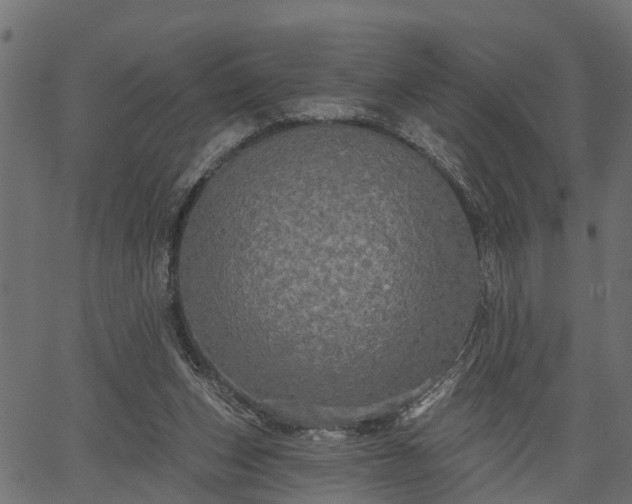 X0000066930159200603311401