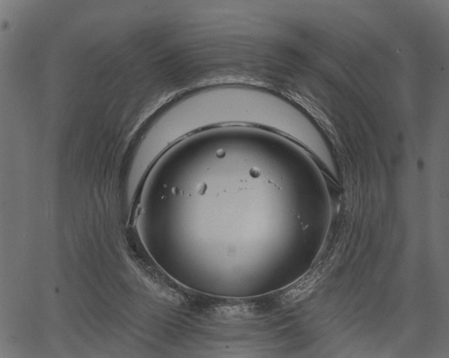 X0000066930160200603311401