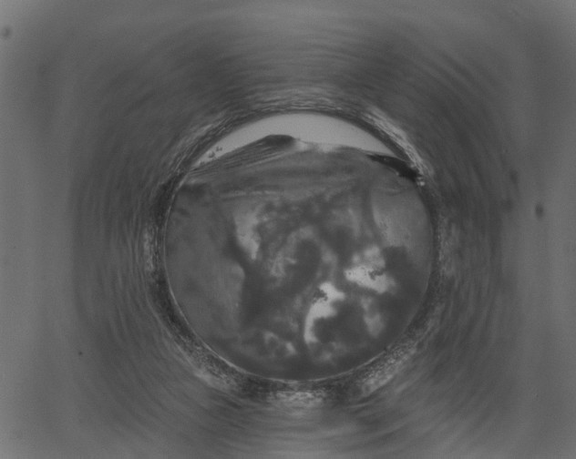 X0000066930161200603311401