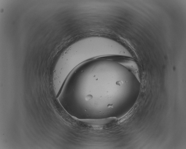 X0000066930162200603311401