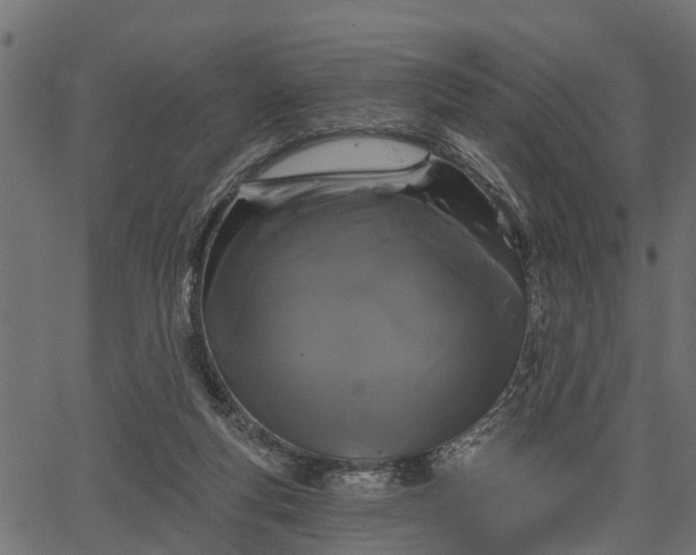 X0000066930163200603311401