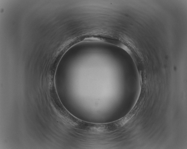 X0000066930164200603311401