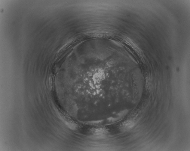 X0000066930165200603311401