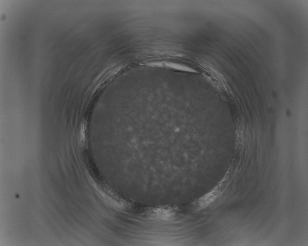 X0000066930166200603311401