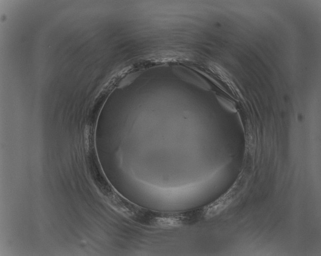 X0000066930167200603311401